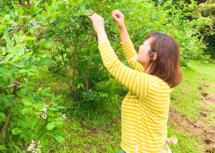 結婚相談所運営にご家族の協力はありますか。